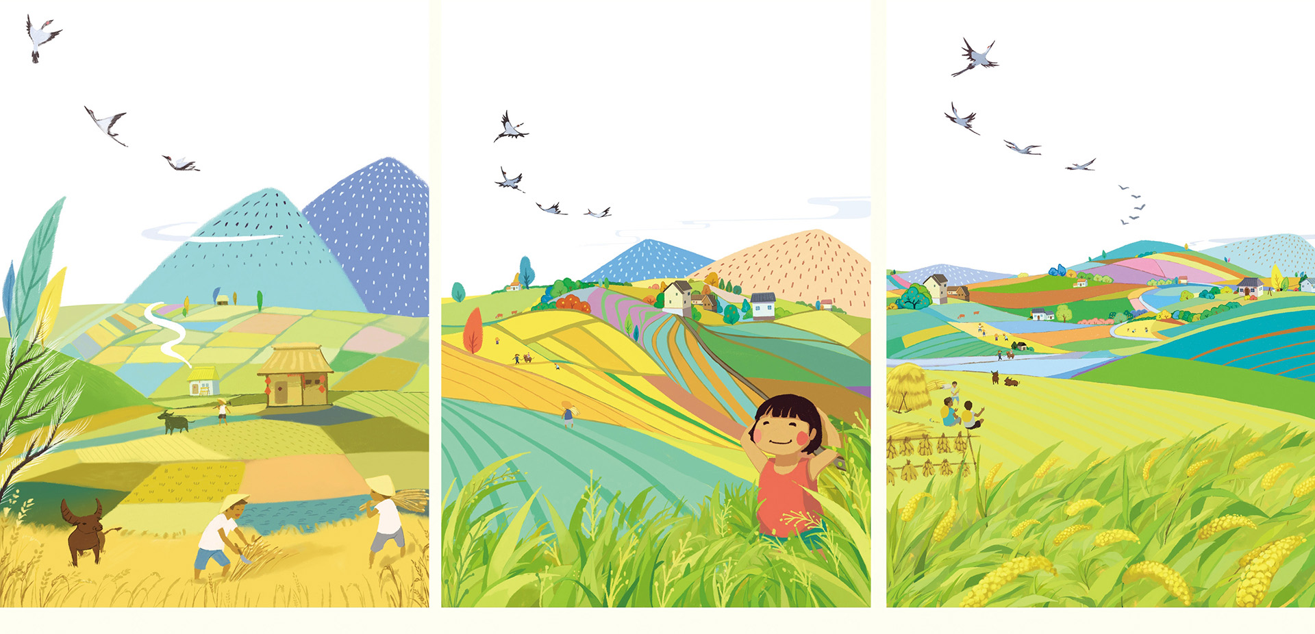 五常大米包裝設(shè)計(jì)