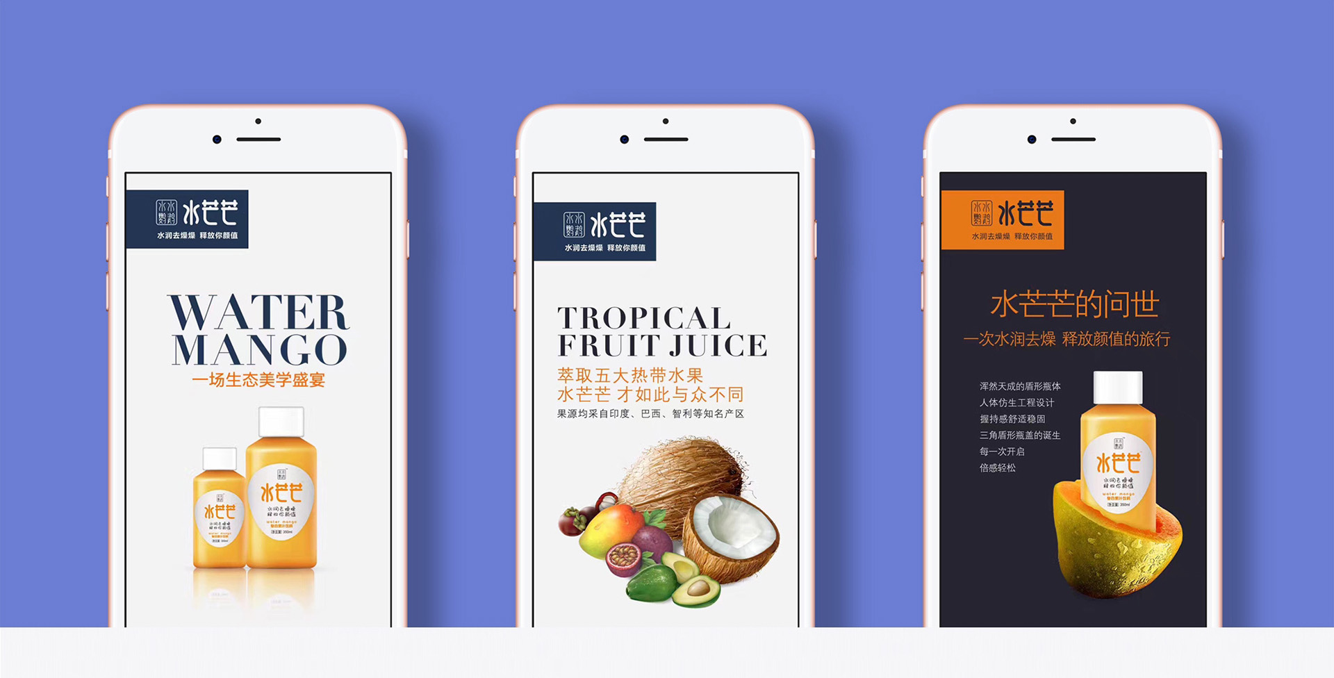 復合果汁飲料包裝策劃設計